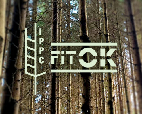 fit-ok